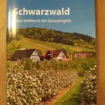 Apartman - Residenz Grafenmatt Feldberg