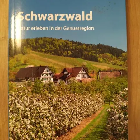 Appartamento Vista Grafenmatt - Ferienwohnung Am Feldberg Feldberg (Baden-Wurttemberg)