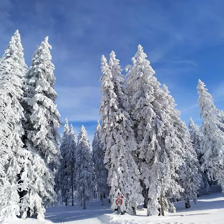 شقة Vista Grafenmatt Am - Ski-in Ski-out - Whirlpool-wanne & Bergblick