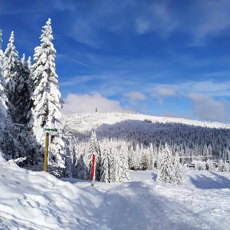 Vista Grafenmatt Am - Ski-in Ski-out - Whirlpool-wanne & Bergblick Apartman Feldberg