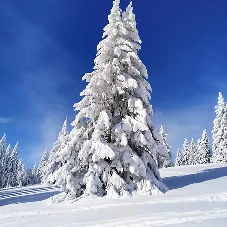 Vista Grafenmatt Am - Ski-in Ski-out - Whirlpool-wanne & Bergblick شقة *