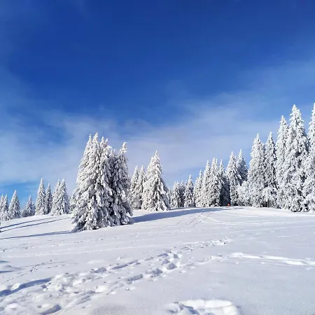 Vista Grafenmatt Am - Ski-in Ski-out - Whirlpool-wanne & Bergblick فيلدبرج