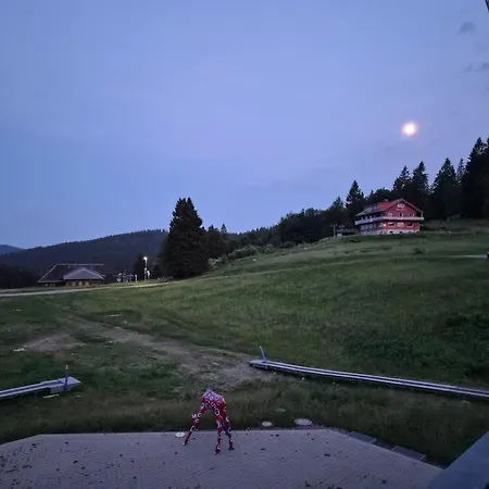Vista Grafenmatt Am - Ski-in Ski-out - Whirlpool-wanne & Bergblick فيلدبرج