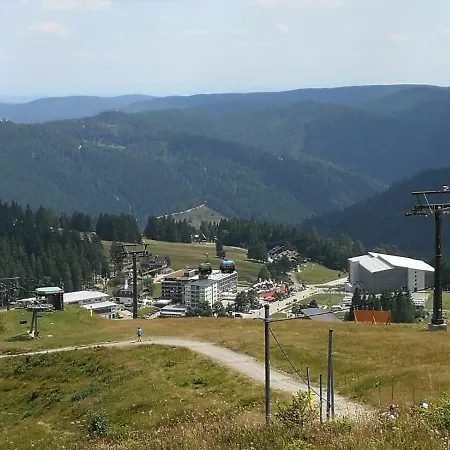 Ferienwohnung Feldberg - Residenz Grafenmatt *