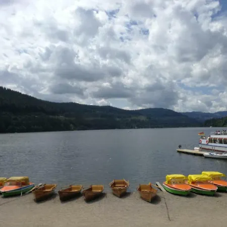 - Residenz Grafenmatt Feldberg (Baden-Wurttemberg)