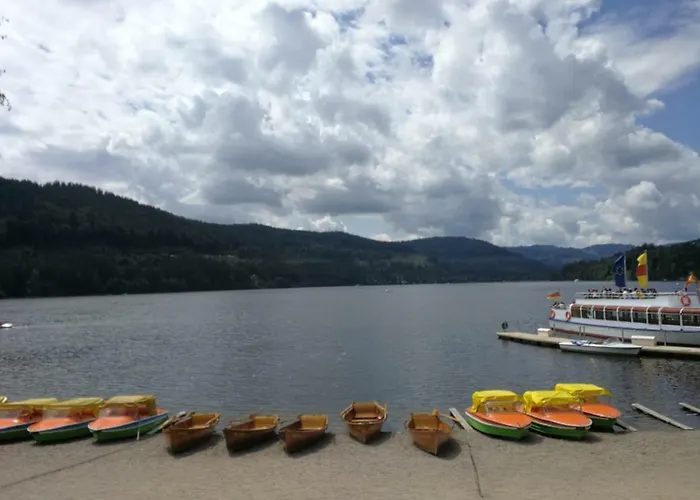 - Residenz Grafenmatt Feldberg (Baden-Wurttemberg)